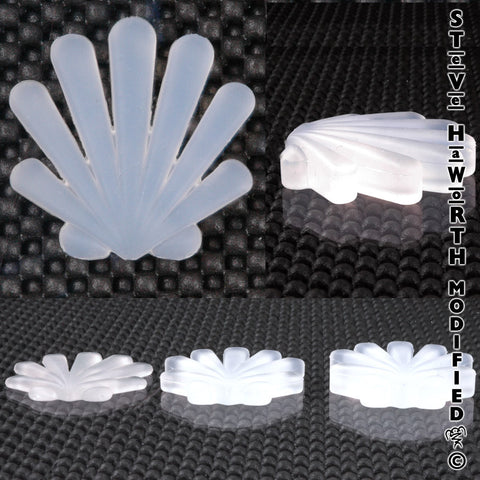 Classic Seashell